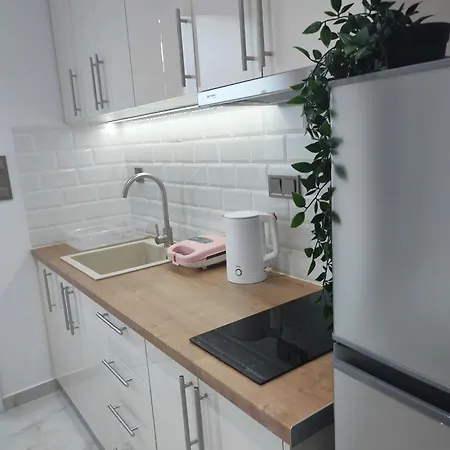 Apartment Alexander Luxury Nea Moudania